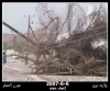 إعصار جونو12