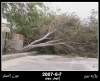 إعصار جونو2